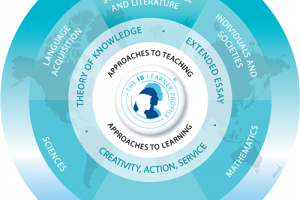 IB Diploma Programme(DP)